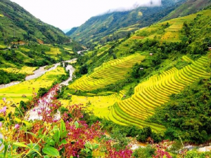 Tour Sài Gòn - Hà Nội - Sapa 4 Ngày