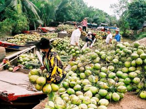 Tour Mỹ Tho – Bến Tre – Rạch Giá – Cà Mau – Bạc Liêu